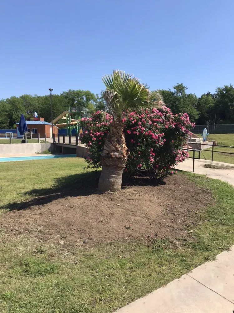 Top-rated lawn care service experts serving Canton, TX - J Parga Tree Service