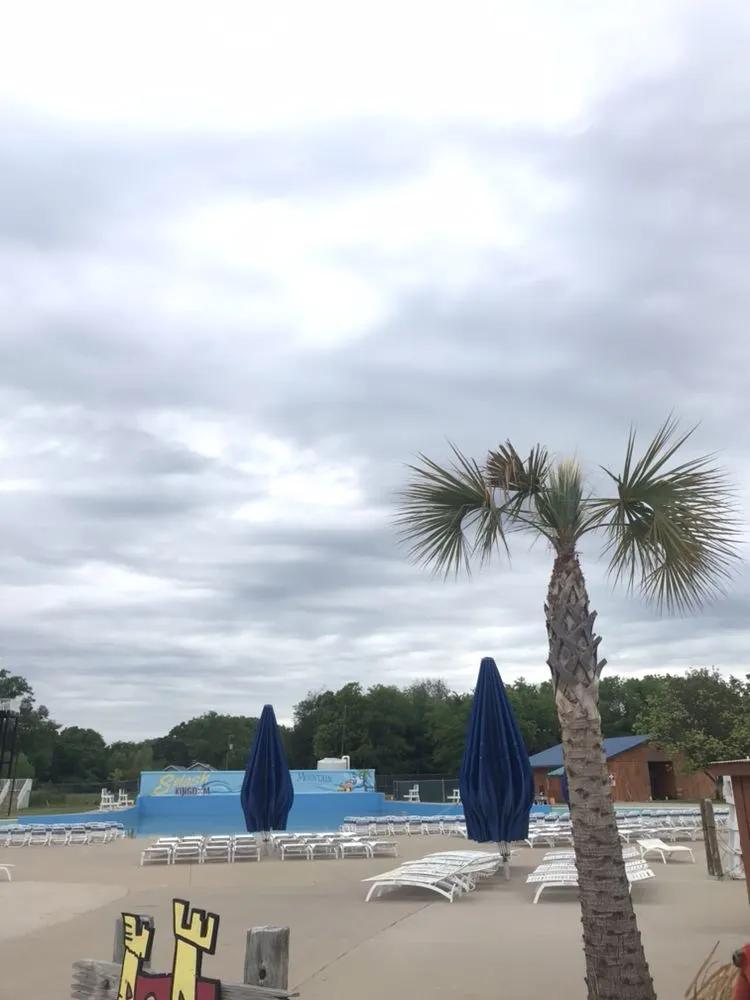 Reliable lawn care service for homes across Canton, TX - J Parga Tree Service