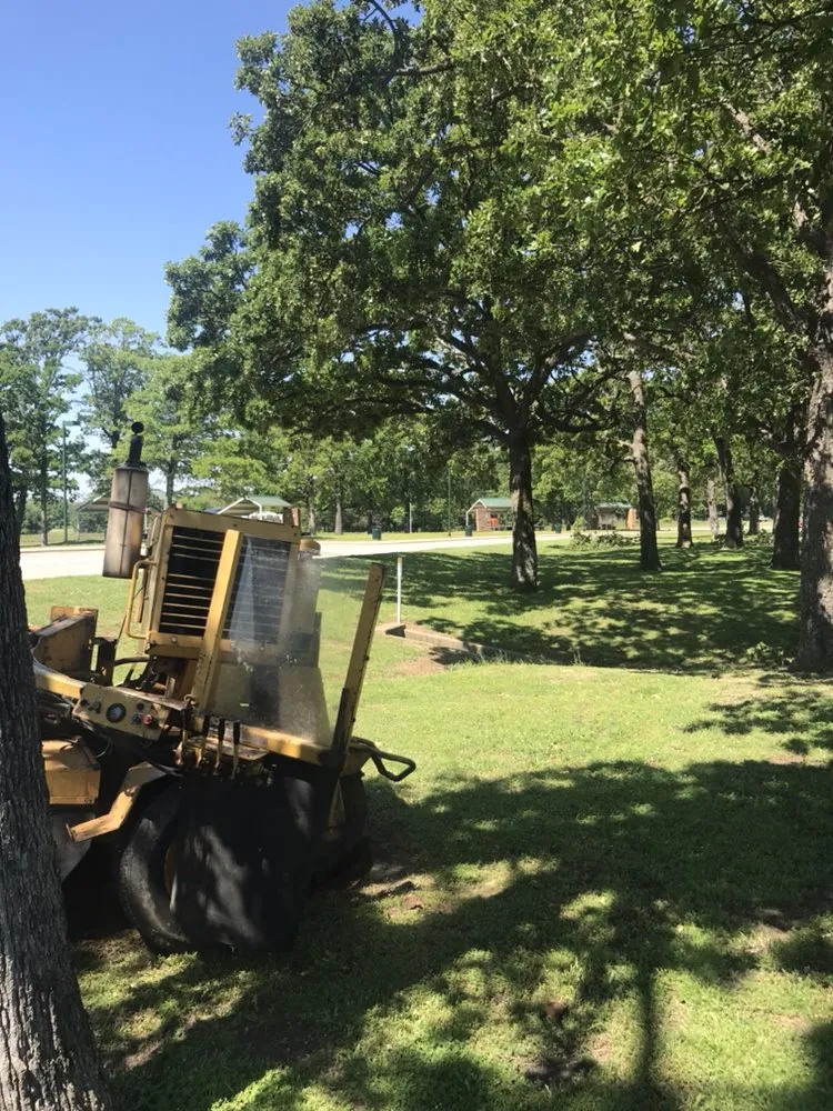 Professional landscape design near you across Canton, TX - J Parga Tree Service