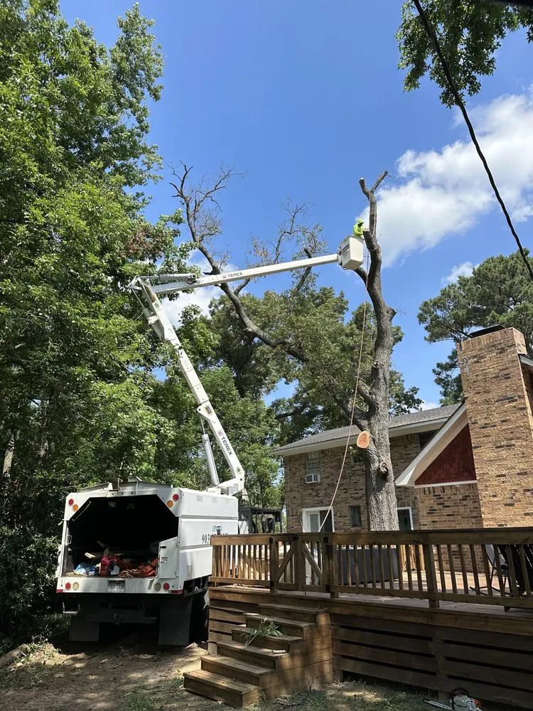 Professional landscaping services in Canton, TX - J Parga Tree Service