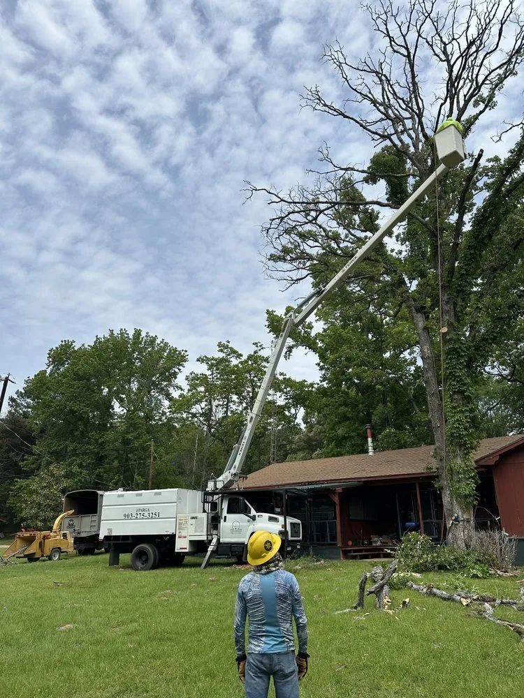 Affordable lawn care service in Canton, TX - J Parga Tree Service