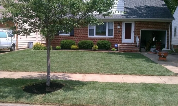 Custom yard cleanup service for beautiful yards in Willoughby Hills, OH by J Patty Landscape Solutions, LLC