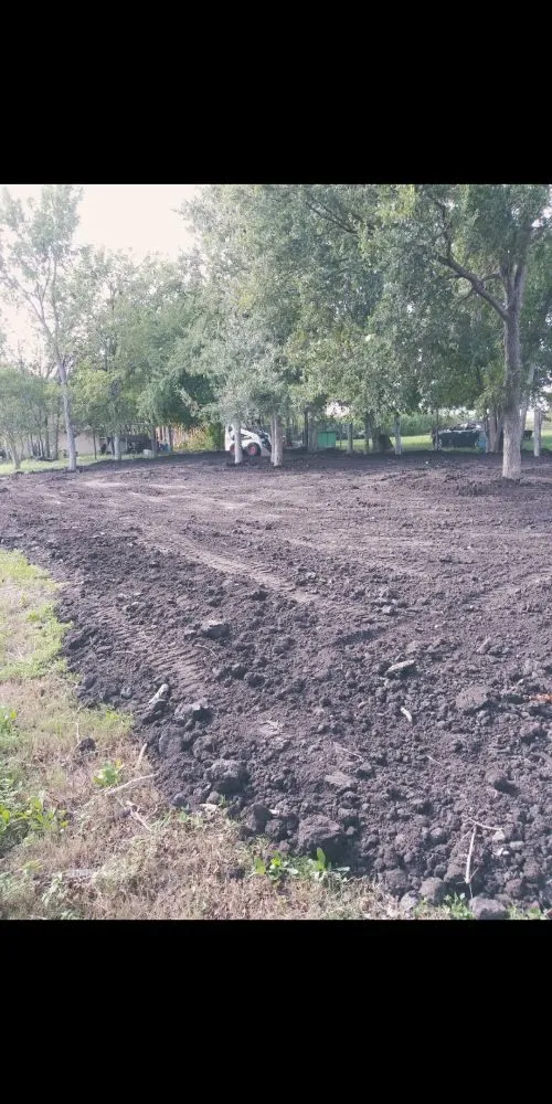 Professional yard maintenance for year-round maintenance across Willis, TX - J Peñaloza Construction