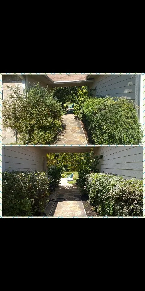 Custom lawn mowing service experts serving Willis, TX - J Peñaloza Construction