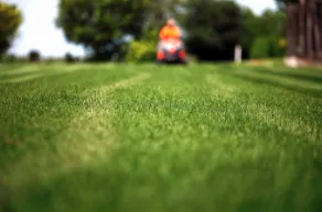 J Perez Landscaping Logo