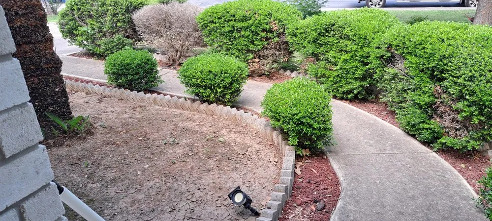 Reliable yard maintenance with custom design across San Antonio, TX - J. Ponce and Son Landscaping