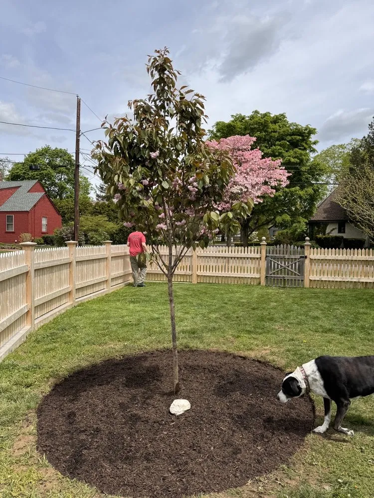Reliable landscape installation in Barrington, RI - J Post Property Maintenance