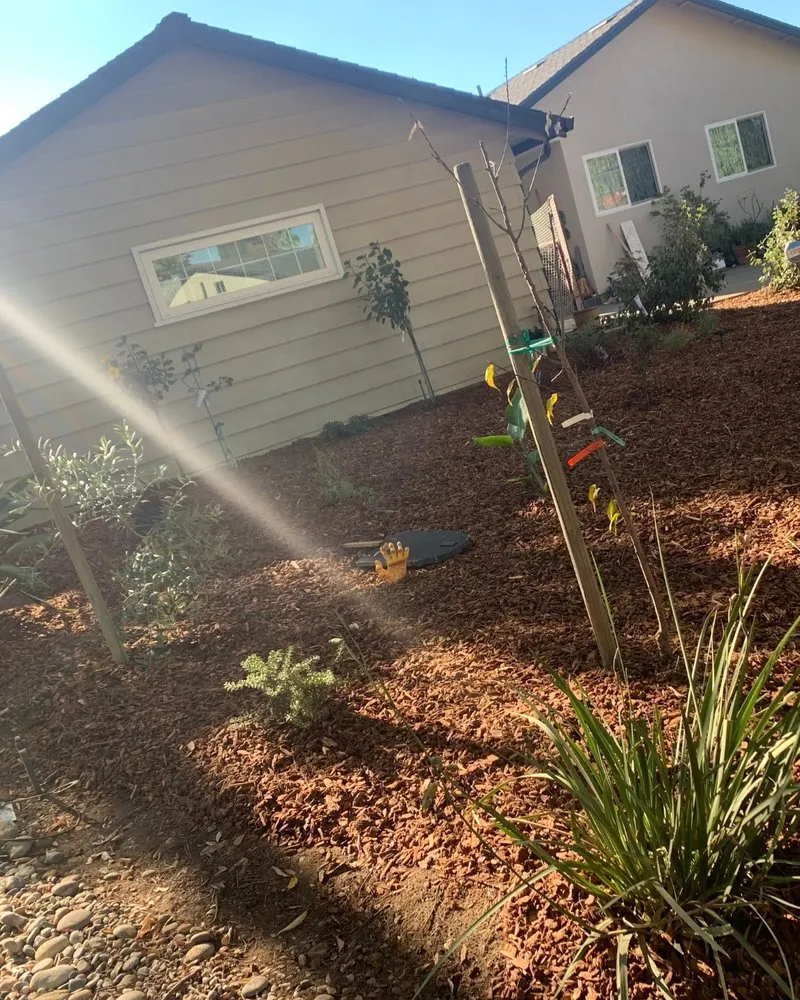 Custom outdoor landscaping for outdoor upgrades in Modesto, CA by J Pressure Washing & Landscaping