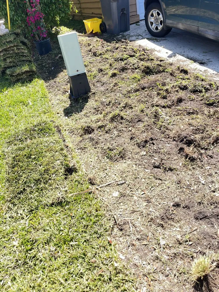 Local residential landscaping in West Palm Beach, FL by J R Landscaping