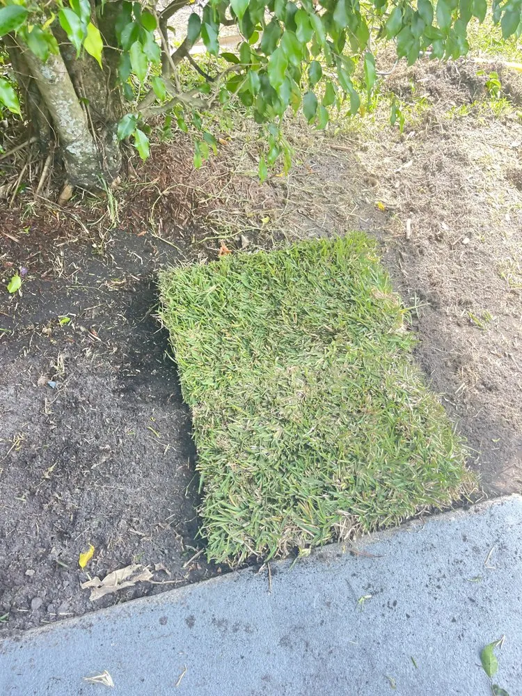 Affordable outdoor landscaping with custom design in West Palm Beach, FL by J R Landscaping