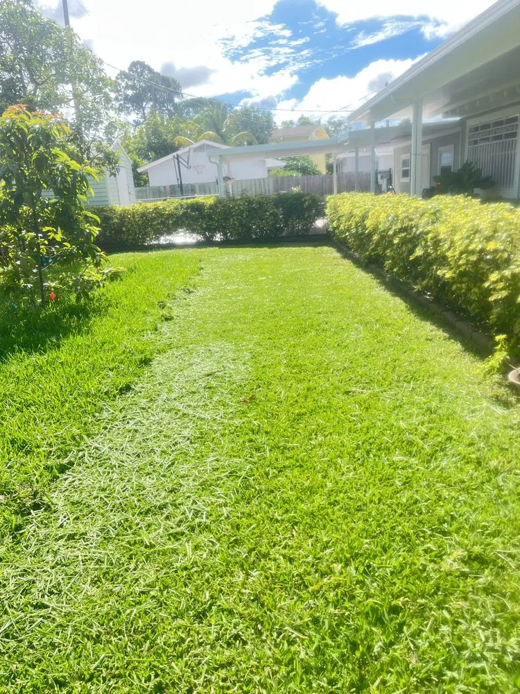 Professional yard cleanup service in West Palm Beach, FL by J R Landscaping