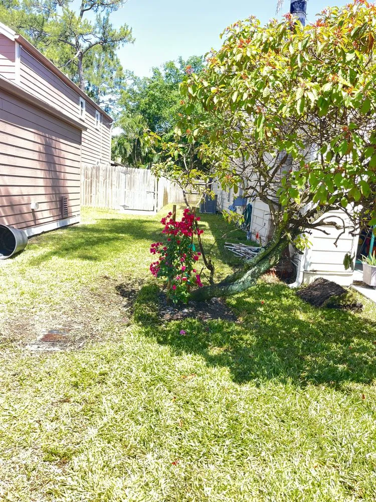 Trusted residential landscaping in West Palm Beach, FL - J R Landscaping