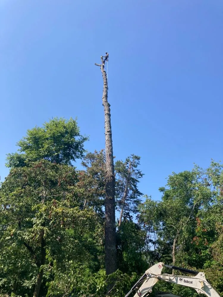 Local garden landscaping with custom design across Candler, NC - J R Tree Service