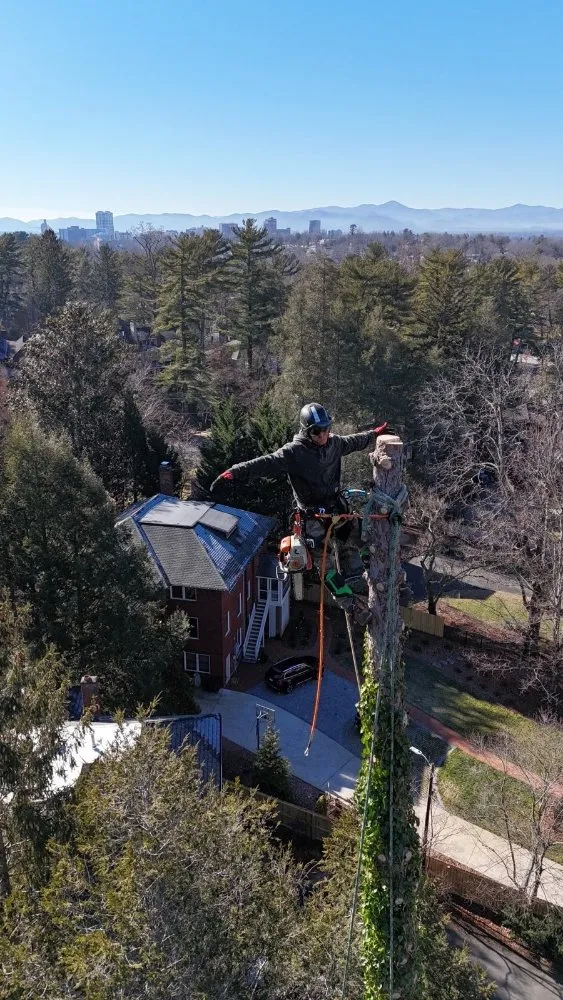 Custom landscaping services experts serving Candler, NC - J R Tree Service