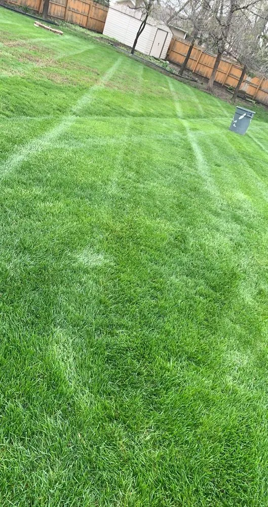 Custom garden landscaping in Des Plaines, IL - J Ramirez Landscaping