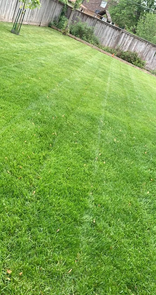 Expert yard maintenance for beautiful yards in Des Plaines, IL by J Ramirez Landscaping