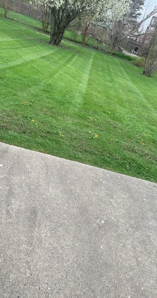 Trusted outdoor landscaping in Des Plaines, IL by J Ramirez Landscaping