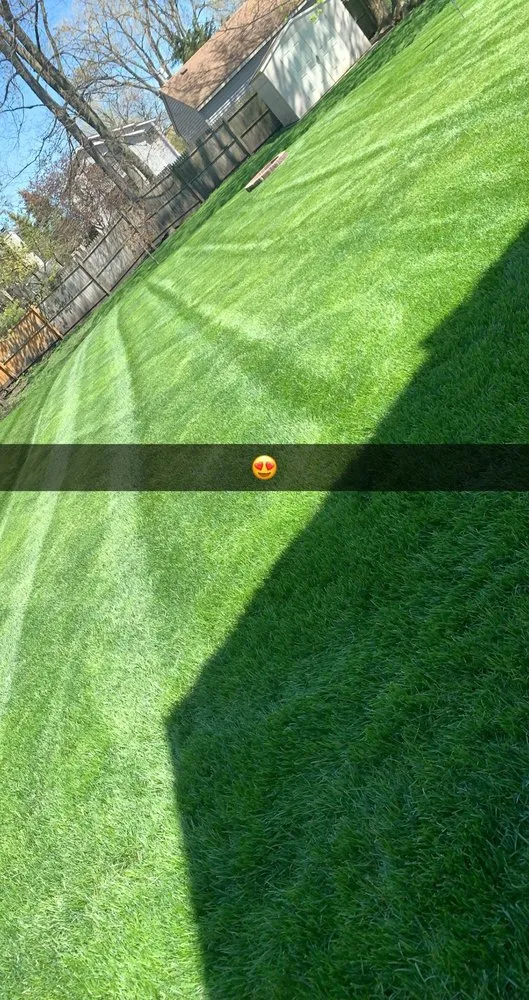 Trusted landscape installation in Des Plaines, IL by J Ramirez Landscaping