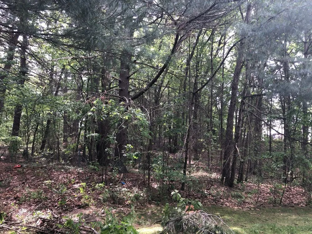 Trusted landscaping services for homes in Methuen, MA by J. Reyes Landscaping