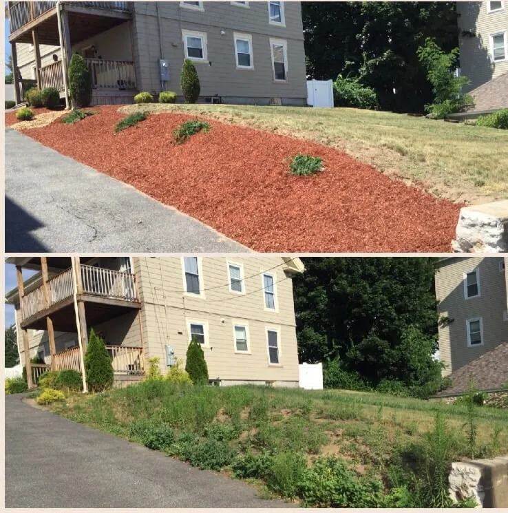 Affordable yard cleanup service in Methuen, MA - J. Reyes Landscaping