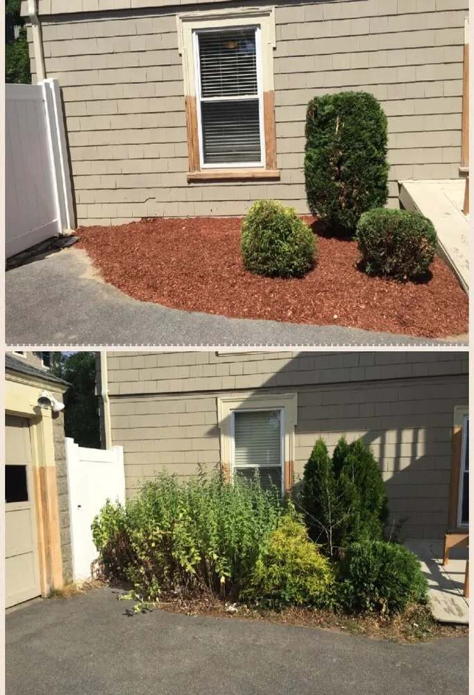 Affordable yard maintenance in Methuen, MA by J. Reyes Landscaping