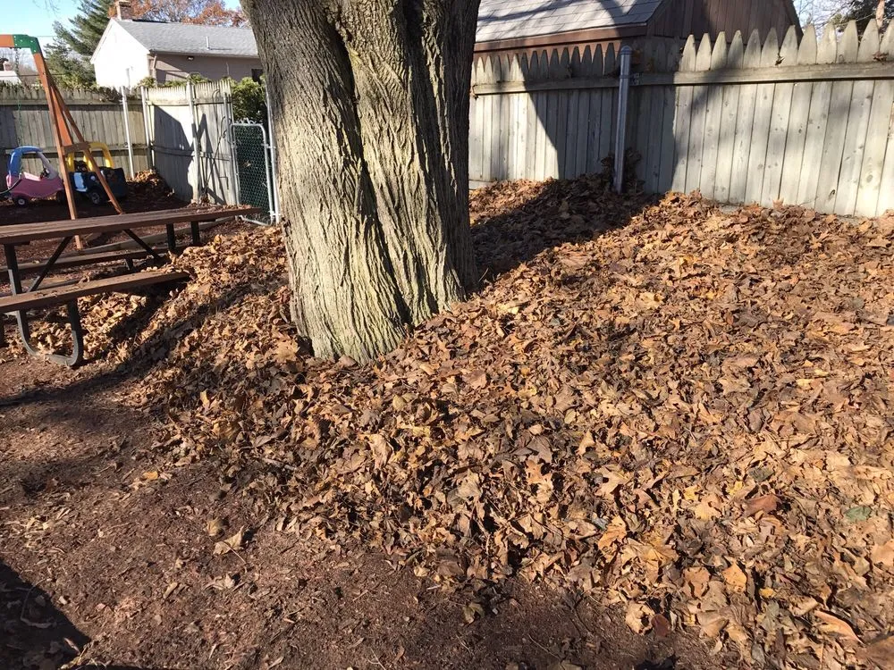 Reliable outdoor landscaping in Richmond, RI - J Riccitelli Landscape