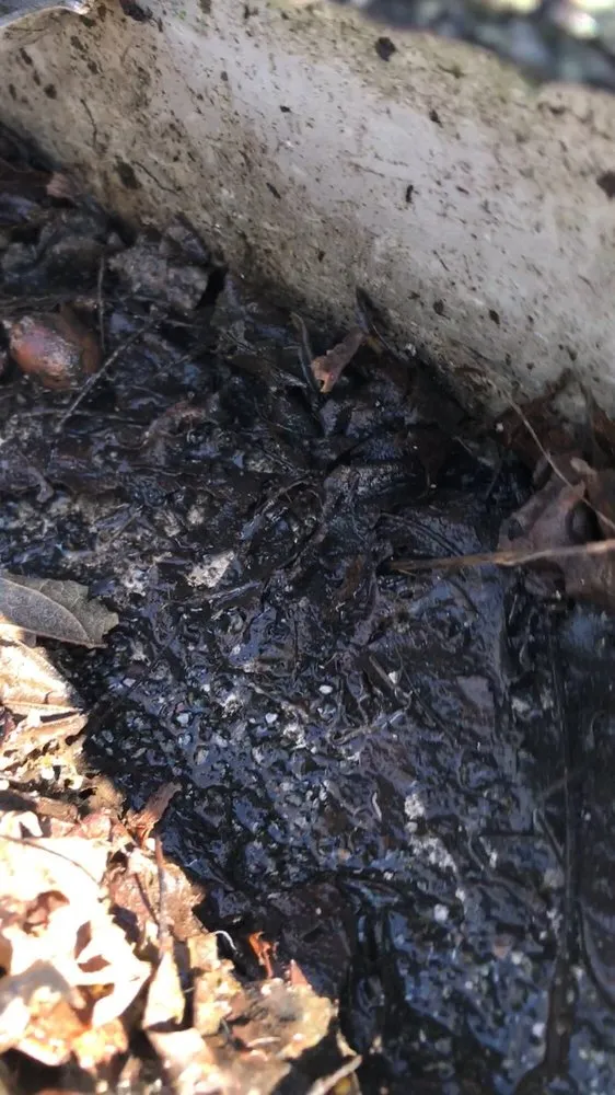 Reliable outdoor landscaping experts serving Richmond, RI - J Riccitelli Landscape