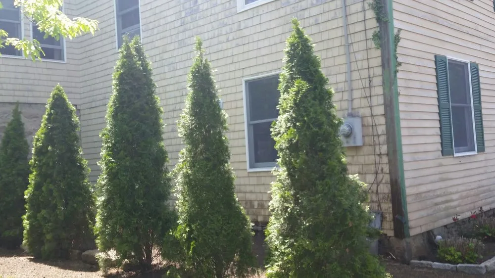 Affordable landscaping services experts serving Richmond, RI - J Riccitelli Landscape