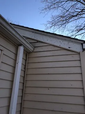 J Riccitelli Landscape