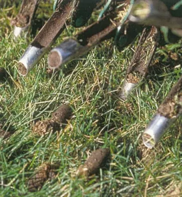 Trusted residential landscaping near you across Colorado Springs, CO - J. Rick Lawn & Tree