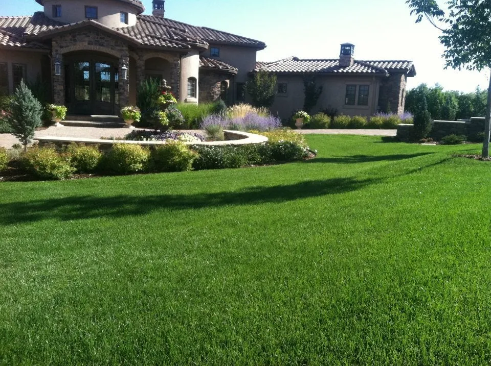 Affordable yard cleanup service experts serving Colorado Springs, CO - J. Rick Lawn & Tree