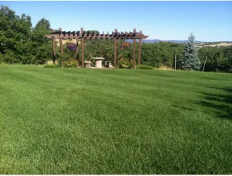 Expert lawn mowing service in Colorado Springs, CO - J. Rick Lawn & Tree