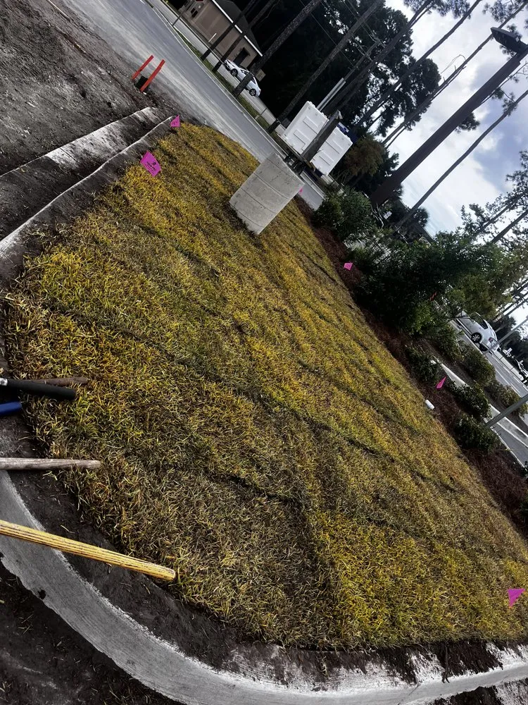 Top-rated landscape design in Myrtle Beach, SC by J Rodriguez Landscaping