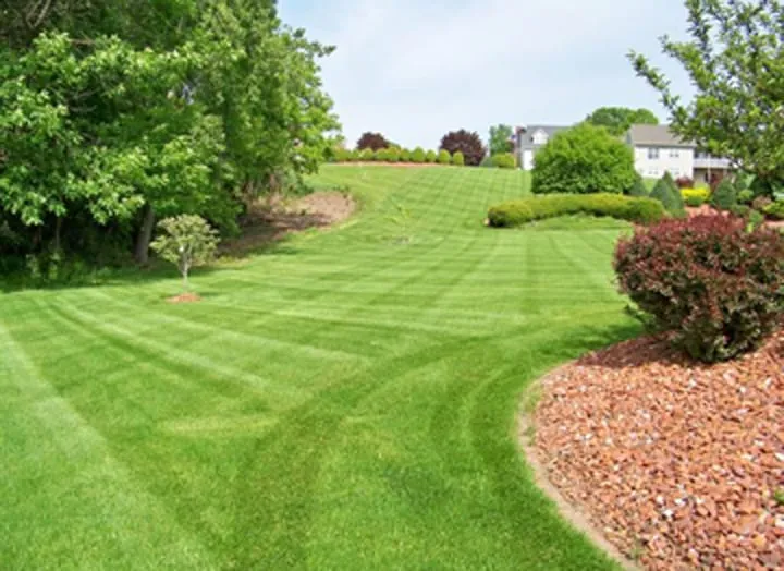 Reliable yard cleanup service in Culver, IN - J Rogers Services