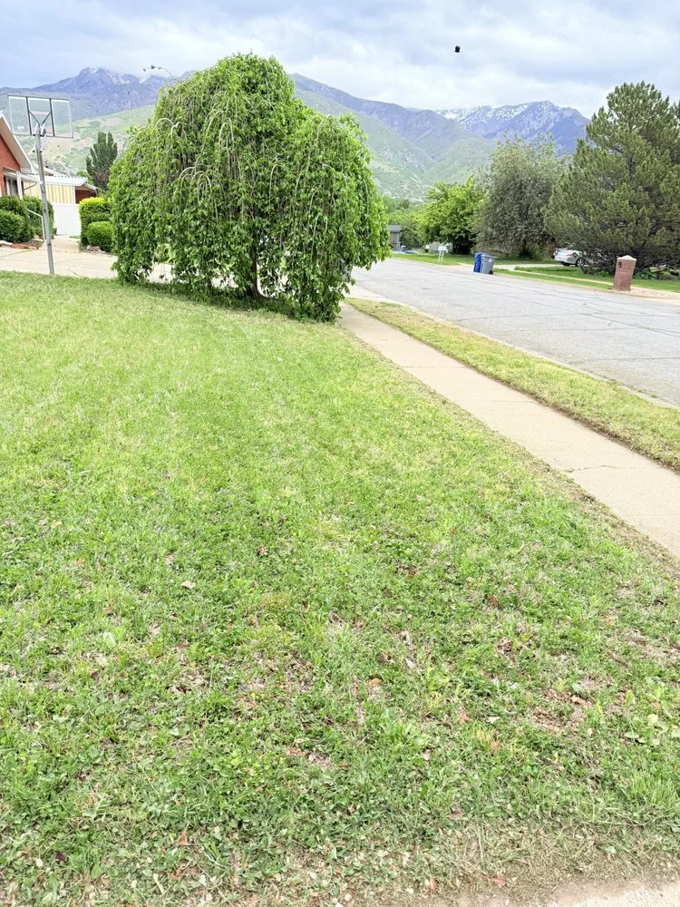 Expert yard maintenance in Ogden, UT - J Ron’s Mowing