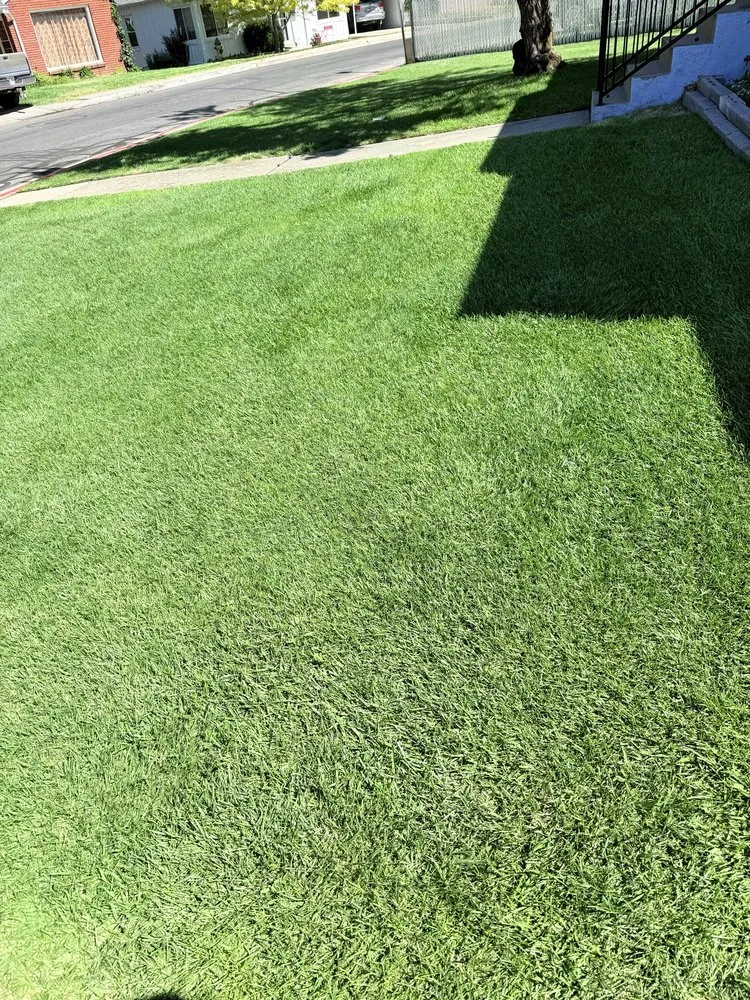 Custom landscape design experts serving Ogden, UT - J Ron’s Mowing