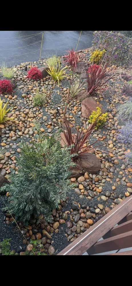 Professional yard maintenance in Saratoga, CA by J Ruelas Landscaping