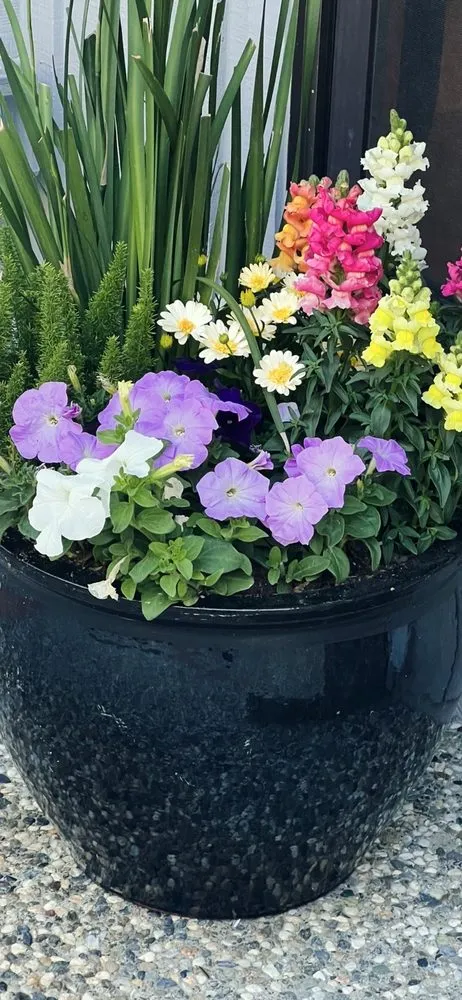 Trusted landscaping services experts serving Saratoga, CA - J Ruelas Landscaping