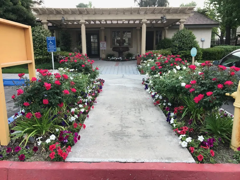Reliable landscaping services in Inglewood, CA - J Ruiz Landscaping
