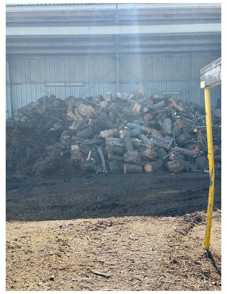 Local yard maintenance in Inglewood, CA - J Ruiz Landscaping