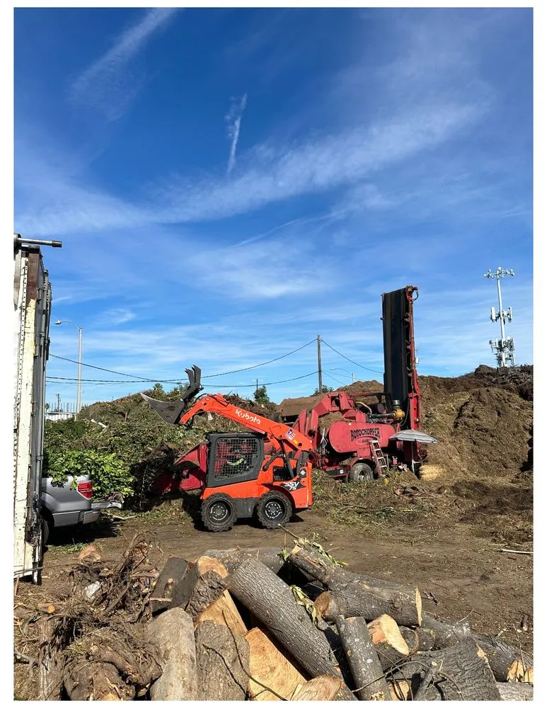 Custom yard maintenance in Inglewood, CA - J Ruiz Landscaping