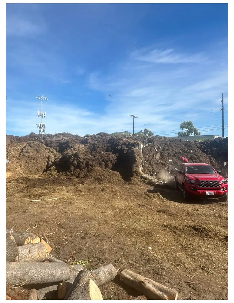 Professional outdoor landscaping for beautiful yards across Inglewood, CA - J Ruiz Landscaping