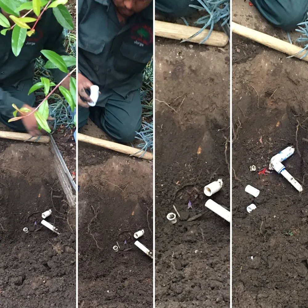 Reliable lawn care service near you across Inglewood, CA - J Ruiz Landscaping