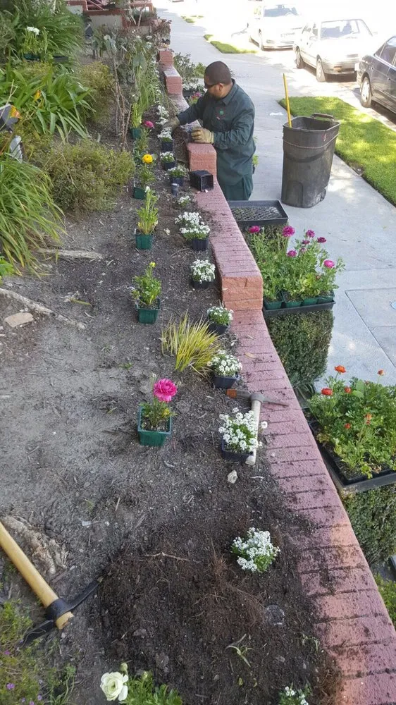 Expert yard maintenance with custom design across Inglewood, CA - J Ruiz Landscaping