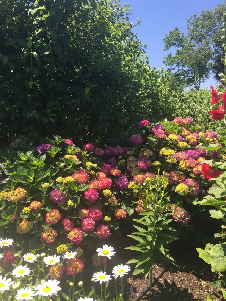 Local outdoor landscaping in Wakefield, RI by J S Landscaping Co