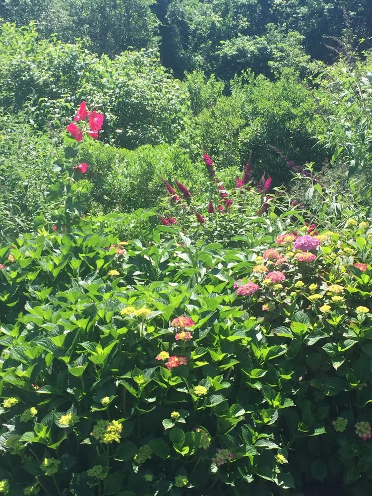 Custom yard cleanup service for homes across Wakefield, RI - J S Landscaping Co