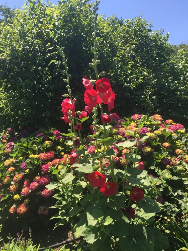 Top-rated landscaping services in Wakefield, RI by J S Landscaping Co