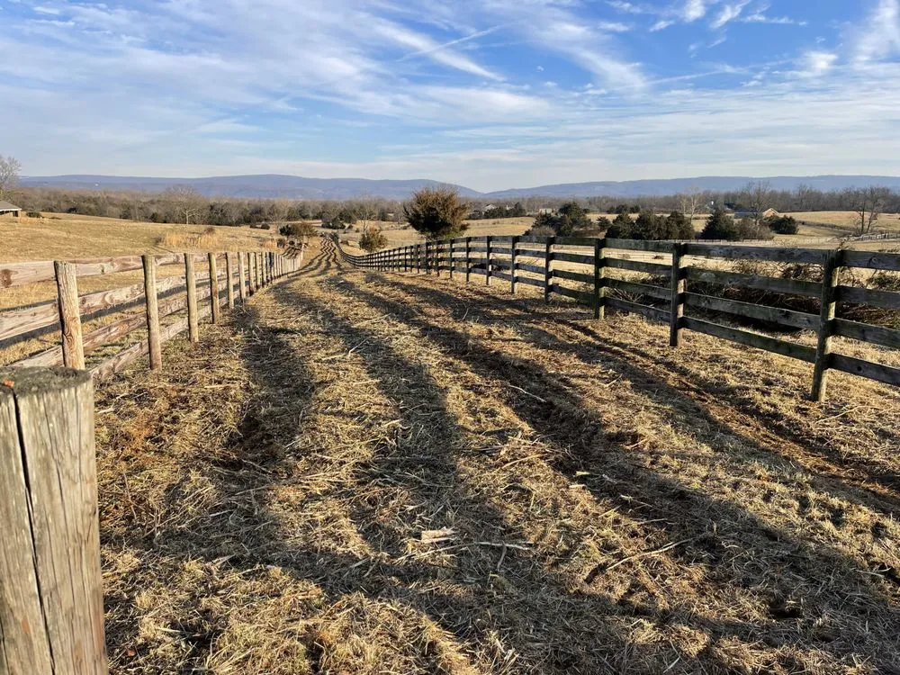 Expert yard cleanup service in Winchester, VA by J S Lawn Service