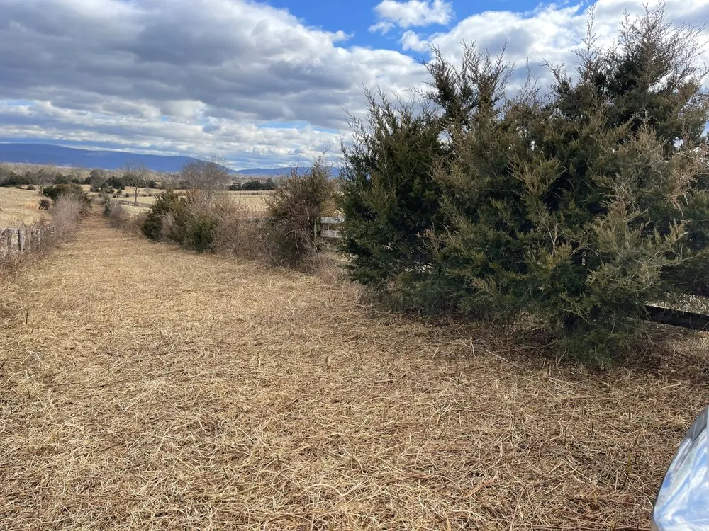 Top-rated lawn mowing service in Winchester, VA by J S Lawn Service