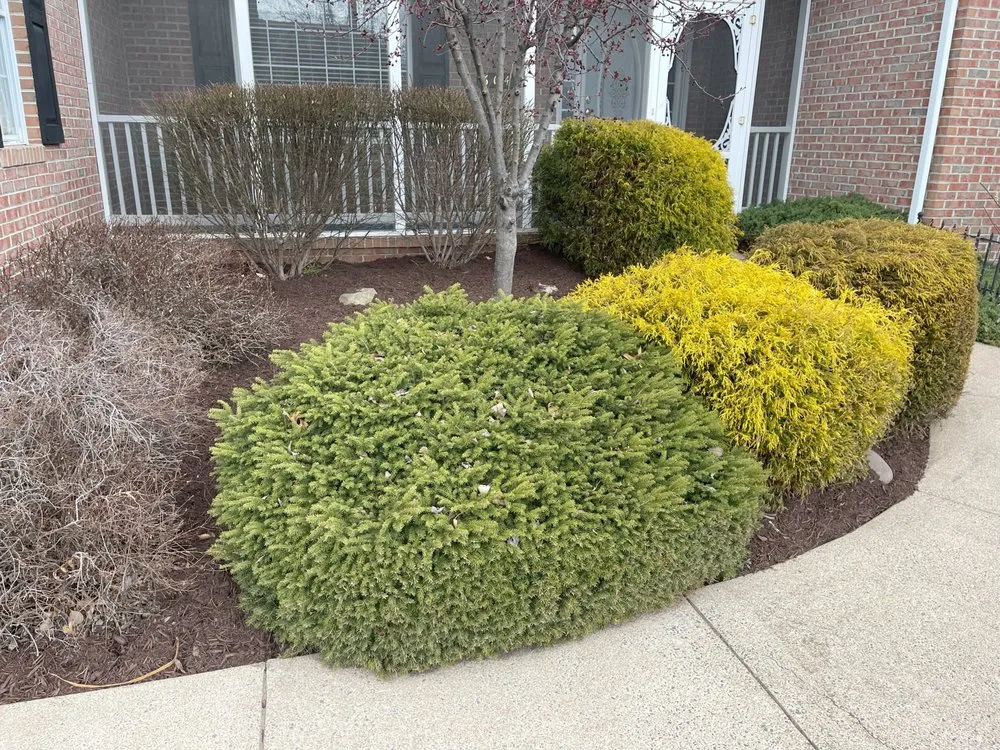 Professional lawn mowing service for outdoor upgrades in Winchester, VA by J S Lawn Service